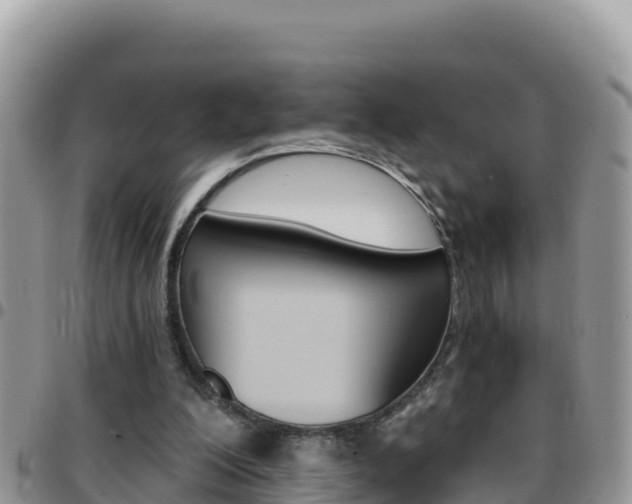 X0000096200200200801181039