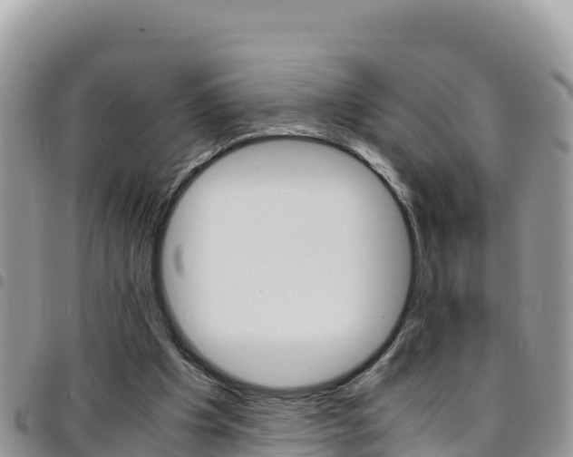 X0000096200201200801181039