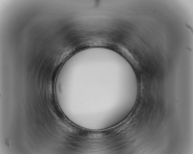 X0000096200202200801181039