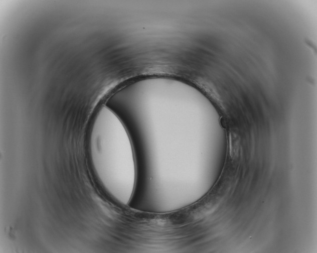 X0000096200204200801181039