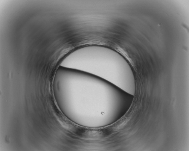 X0000096200205200801181039