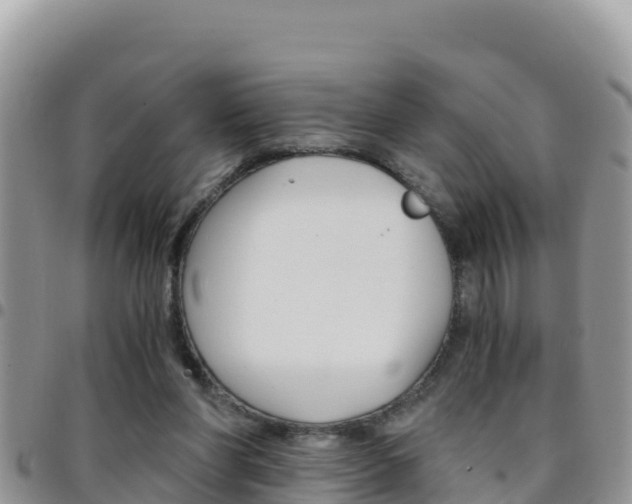 X0000096200206200801181038