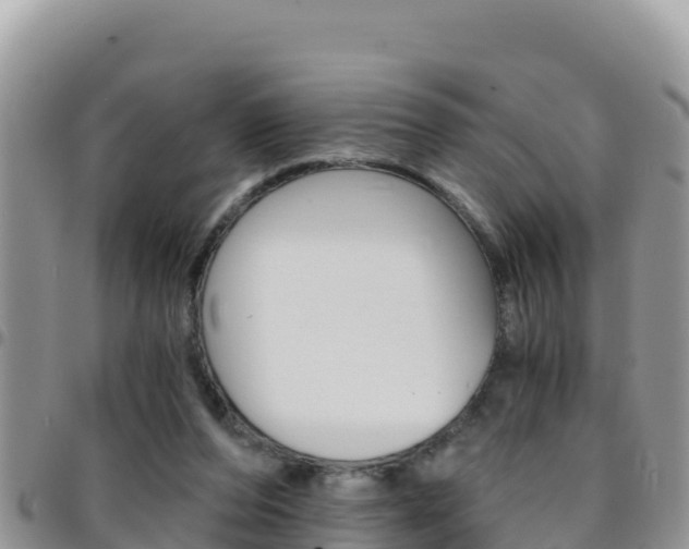 X0000096200208200801181038
