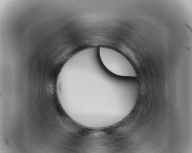 X0000096200210200801181038
