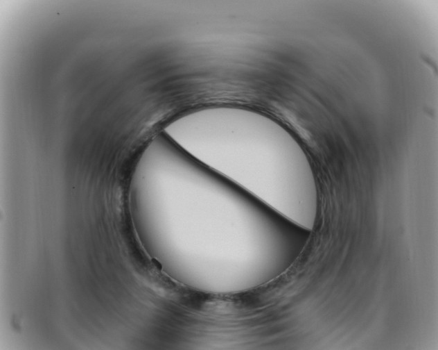 X0000096200211200801181038