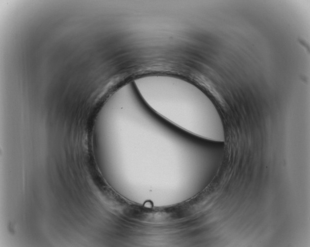 X0000096200212200801181038