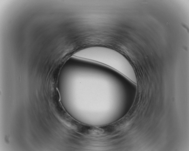 X0000096200215200801181038