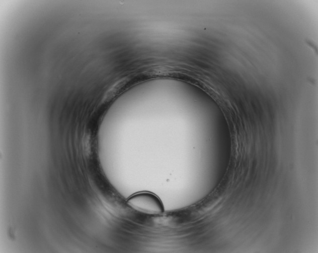 X0000096200216200801181038