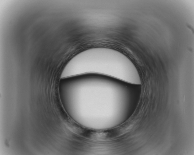 X0000096200217200801181038
