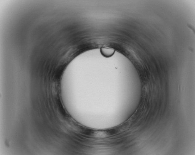 X0000096200218200801181038