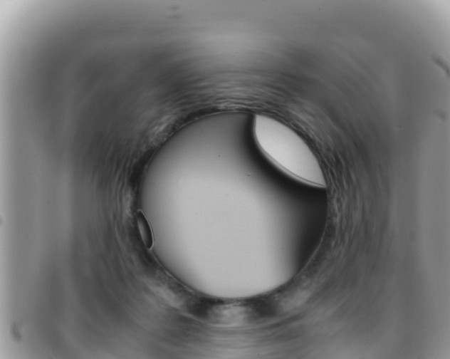 X0000096200219200801181038