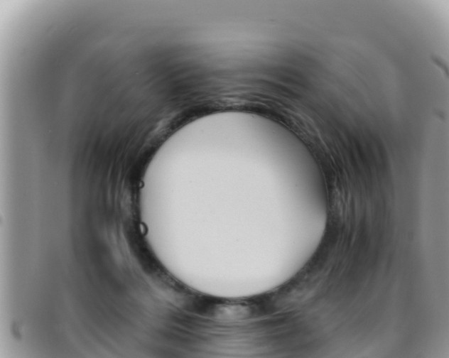 X0000096200220200801181038