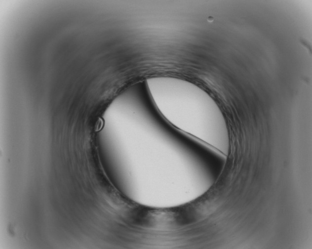X0000096200221200801181038
