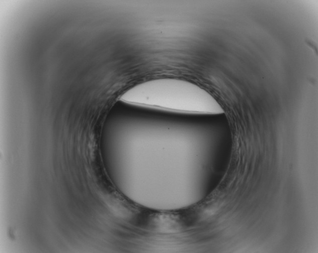 X0000096200223200801181038