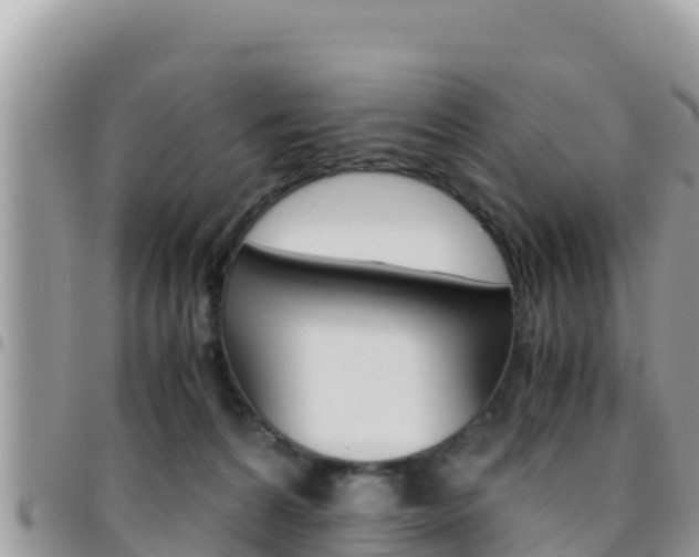 X0000096200224200801181038