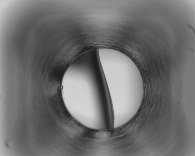 X0000096200225200801181038