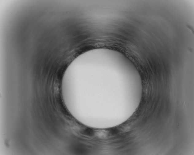 X0000096200226200801181038