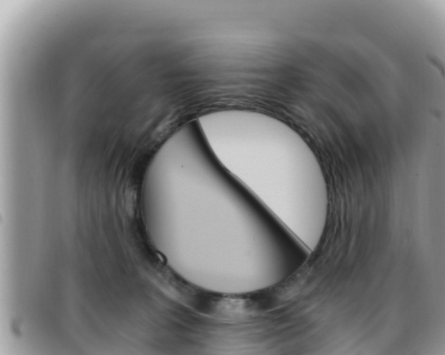X0000096200227200801181038