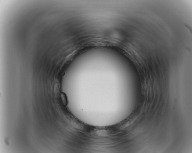 X0000096200228200801181038