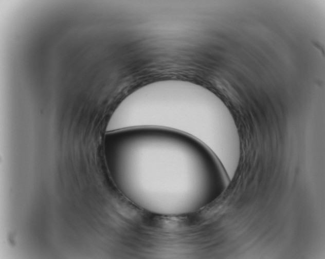 X0000096200229200801181038