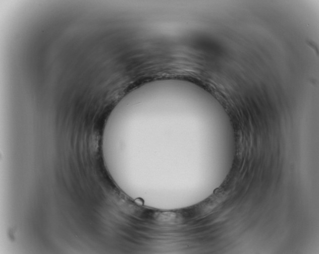 X0000096200230200801181038