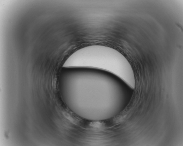 X0000096200231200801181038