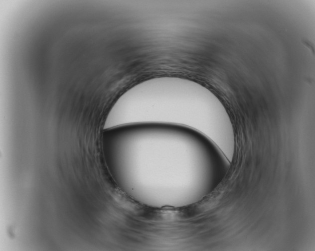 X0000096200233200801181038