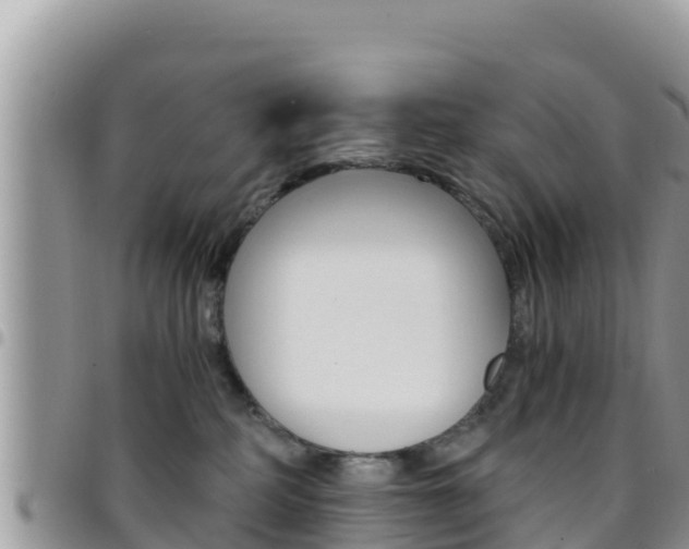 X0000096200234200801181038