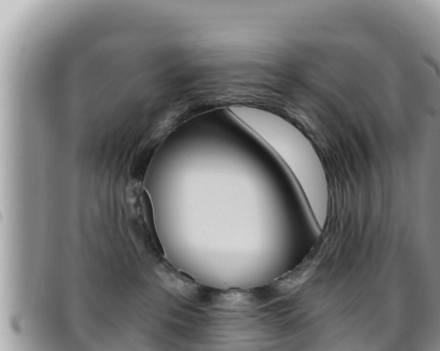 X0000096200237200801181038