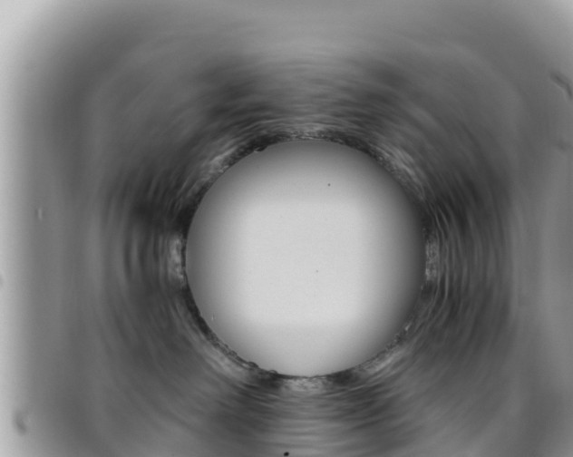 X0000096200238200801181038