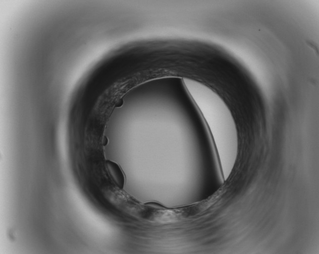 X0000096200239200801181038