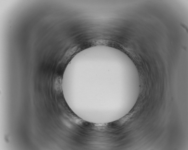 X0000096200240200801181038
