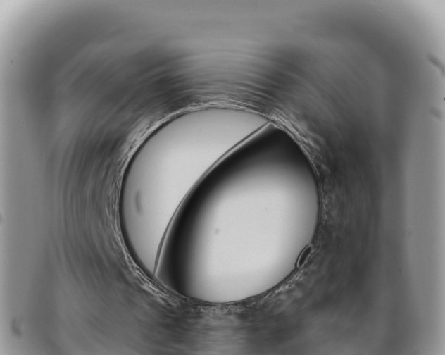 X0000096200241200801181037