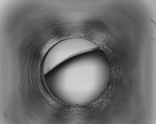 X0000096200242200801181037