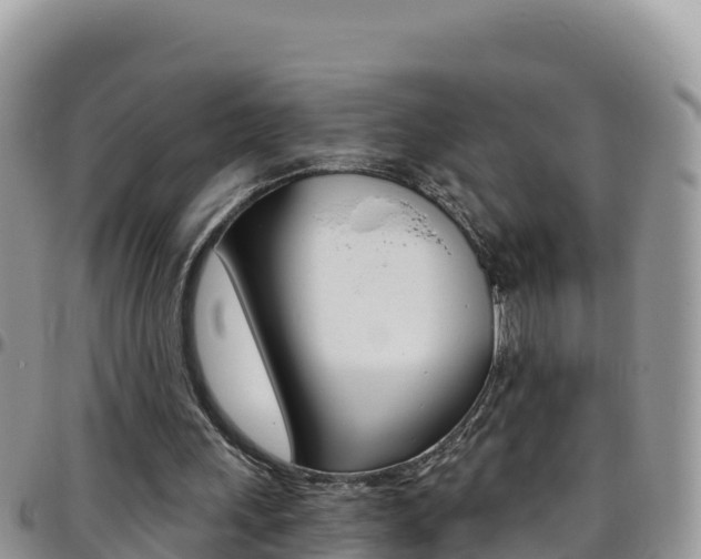 X0000096200243200801181037