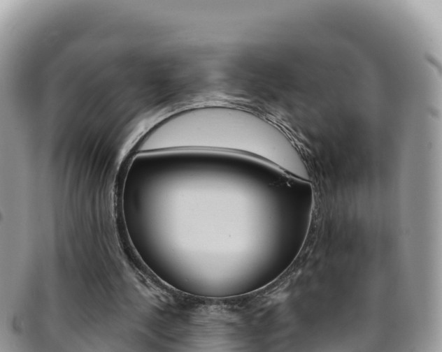 X0000096200244200801181037
