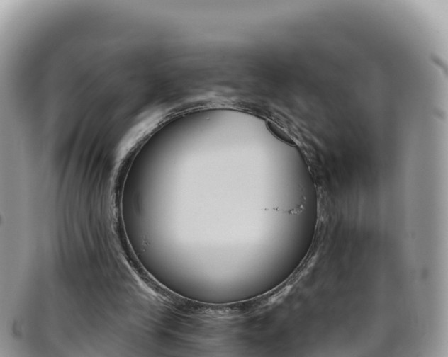 X0000096200245200801181037