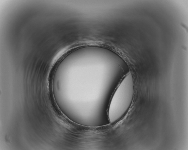 X0000096200246200801181037