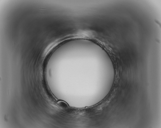 X0000096200247200801181037