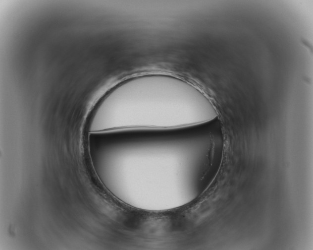 X0000096200248200801181037
