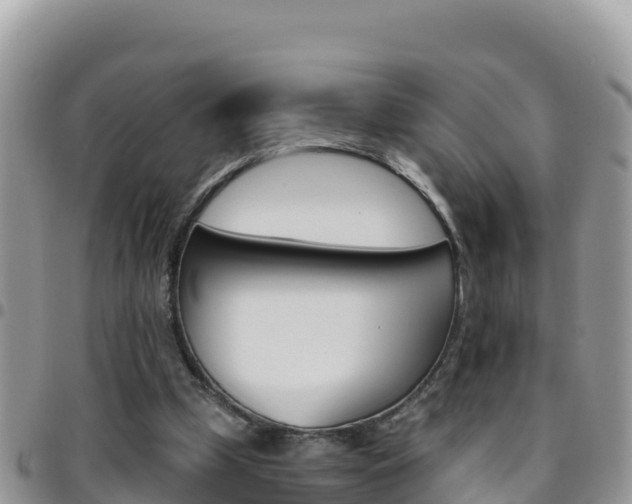 X0000096200249200801181037
