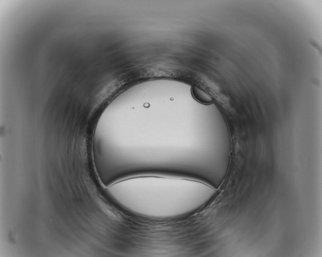 X0000096200250200801181038