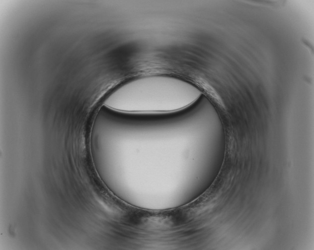 X0000096200251200801181038