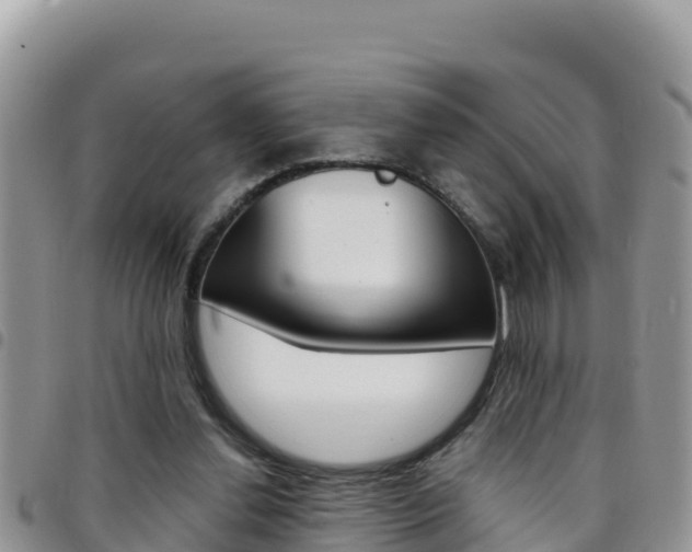 X0000096200252200801181038