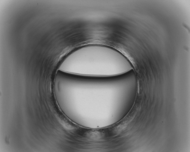 X0000096200253200801181038