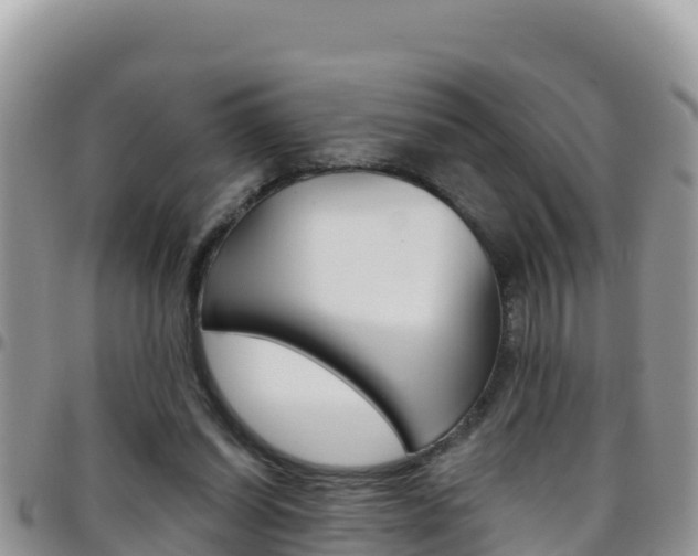 X0000096200254200801181038