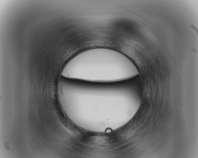X0000096200255200801181038