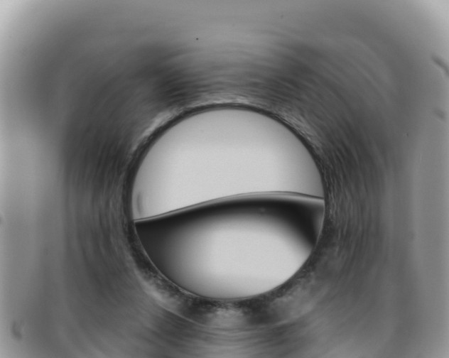 X0000096200256200801181038