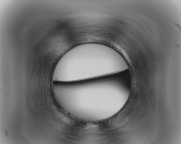X0000096200257200801181038