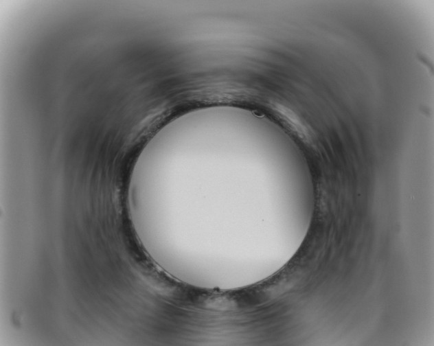 X0000096200258200801181038